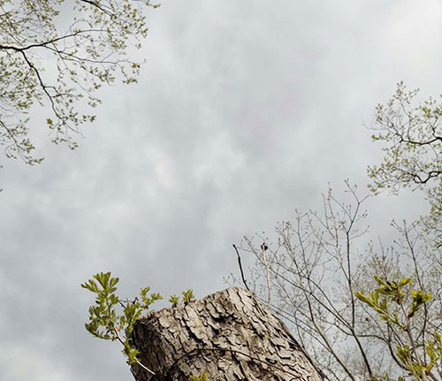 �S�^�h(hu��n)��